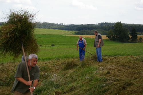 Die Mitglieder der Jagdgenossenschaft Weickartshain trafen sich unter Leitung von Jagdvorsteher Udo Görnert zu einer Pflege- und Säuberungsaktion am Schindwasen (Bild: Golz)